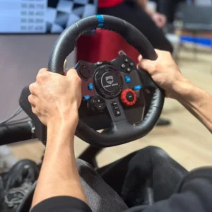 a person holding a steering wheel