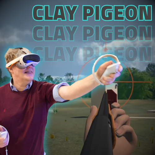 Pigeon shoot VR